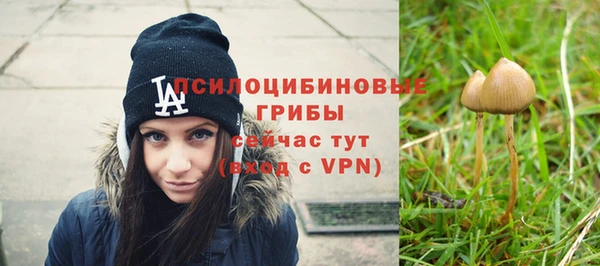 ALPHA PVP Ельня