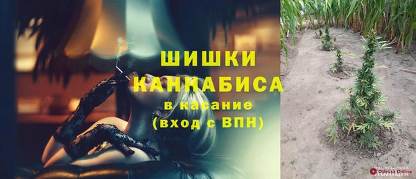 ALPHA PVP Ельня
