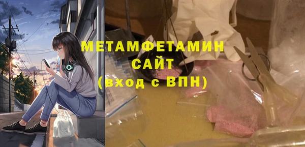 ALPHA PVP Ельня