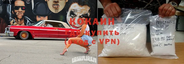 ALPHA PVP Ельня
