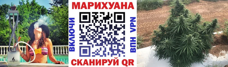 Каннабис MAZAR Мамадыш